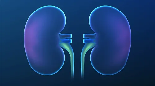 Kidney Transplantation Racket Busted in Indian City; Six Arrested, Including Doctor