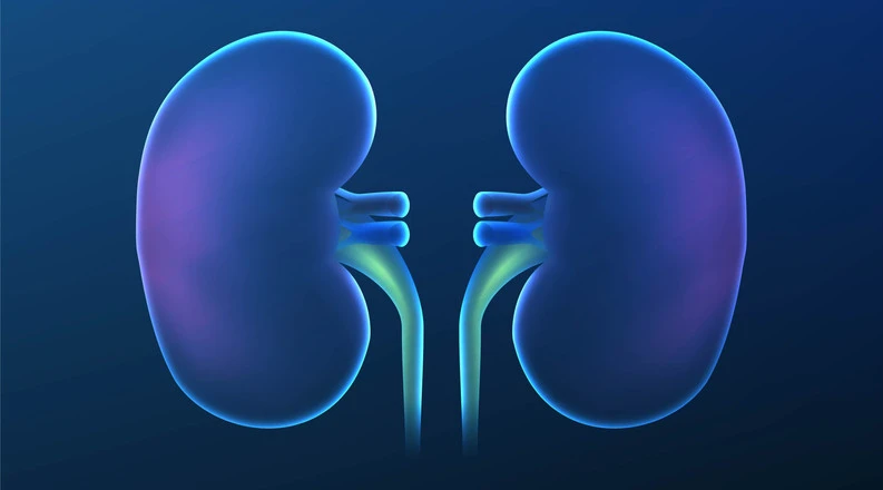 Kidney Transplantation Racket Busted in Indian City; Six Arrested, Including Doctor