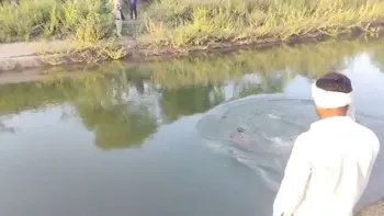 Tragic Incident in Nagpur: Four Students Swept Away in Canal, Search Operation Intensifies