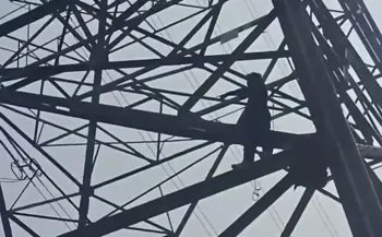 Man Rescued After Climbing High-Tension Pole in Delhi: A Call for Environmental Action?