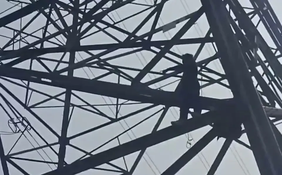 Man Rescued After Climbing High-Tension Pole in Delhi: A Call for Environmental Action? 