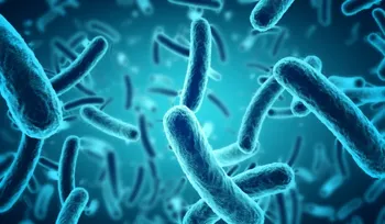 High Levels of E Coli Found in 75 Percent of Chennai Homes