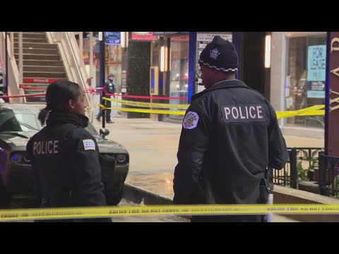 Afternoon Gunfire Near Chicago School Shakes Students and Community 