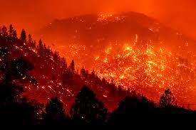 California Clears 17 Percent Home Insurance Hike by State Farm After L.A. Wildfires