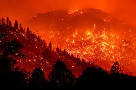 California Clears 17 Percent Home Insurance Hike by State Farm After L.A. Wildfires 
