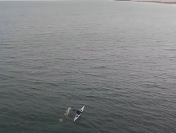 Man Swims 60 Miles Around Martha’s Vineyard to Raise Global Awareness for Shark Conservation