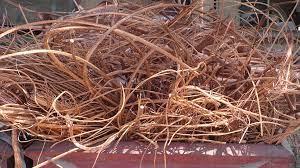 Copper Theft Foiled in San Jose as Police Nab Two Suspects During Late-Night Crime