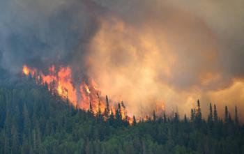 Wildfires Rage Across Canada Forcing Historic Evacuations as Smoke Blankets US Cities