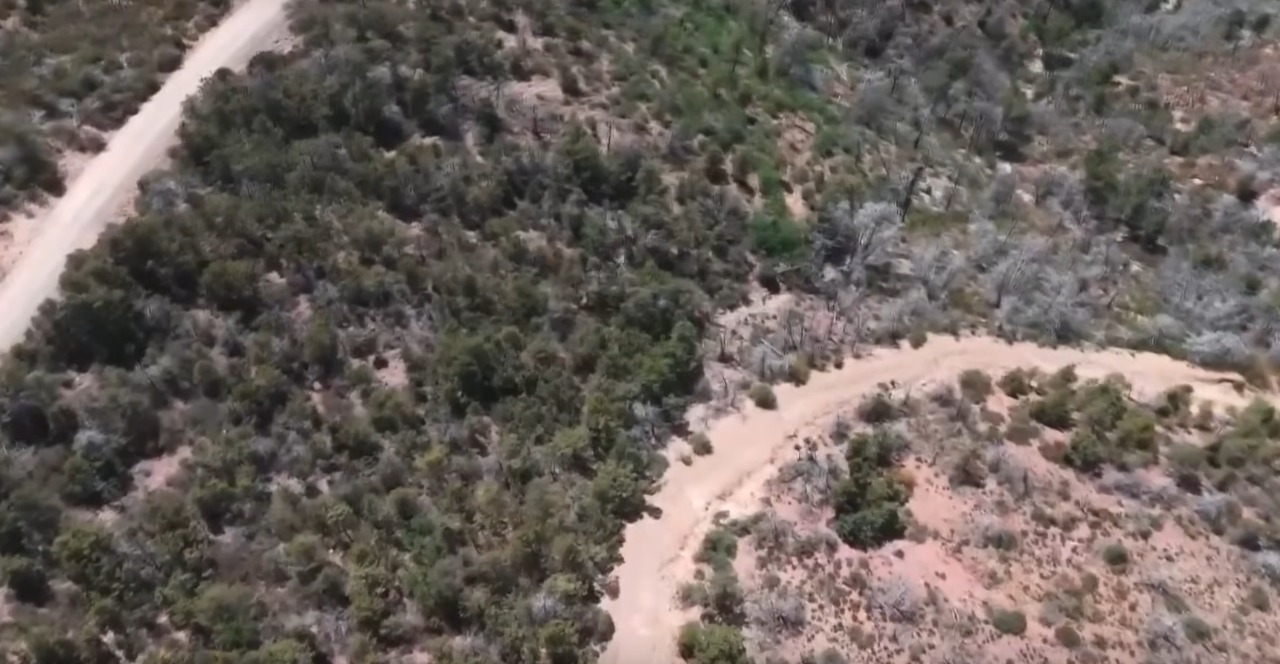 Teen Tragedy Unfolds in Remote Arizona Mountains as Two Found Shot Near Mount Ord 
