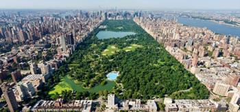Top Sights and Hidden Gems to Explore in New York City in 2025