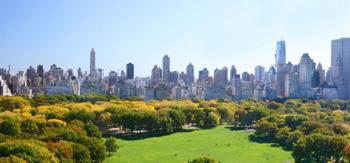 Top Sights and Hidden Gems to Explore in New York City in 2025