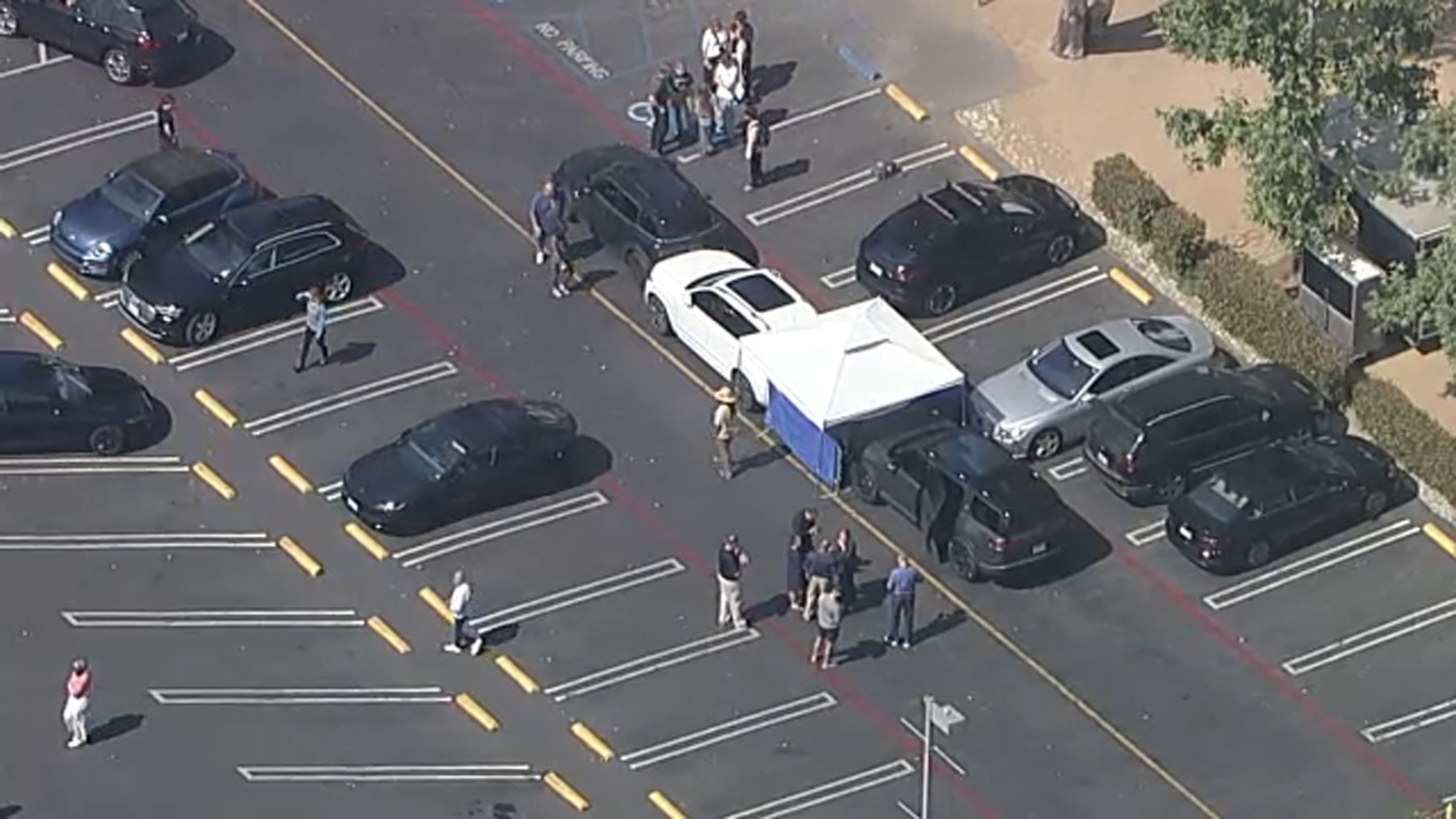 Tragedy at Studio City School as 15-Year-Old Student Dies in Carpool Line Accident 