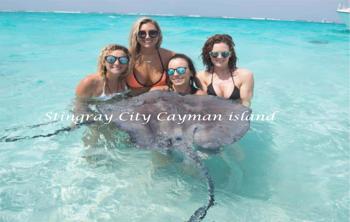 A Magical Encounter Awaits at Stingray City in the Cayman Islands
