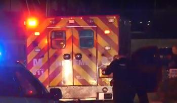 5-Year-Old Girl Found Dead in Houston Apartment Pool
