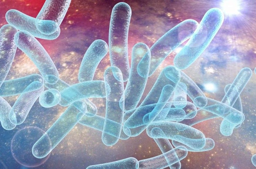 Legionnaires’ Disease Cluster Under Investigation in Harlem