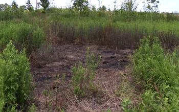 Man Arrested in Houston’s Memorial Park Arson Case