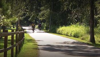 Teen Charged in Jesse Jones Park Assault Attempt