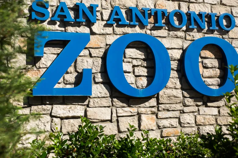 San Antonio Zoo Offers 20000 Free Tickets to Families and Heroes Affected by Flooding