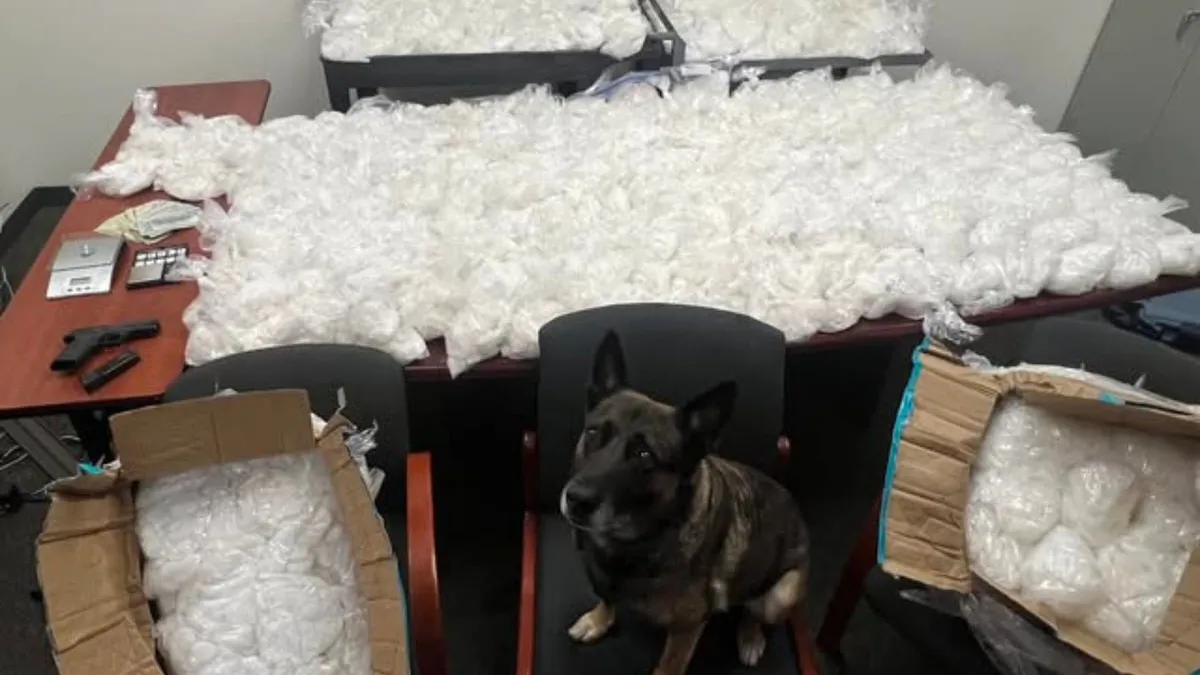 Massive Drug Bust in San Jose as Deputies Seize 500 Pounds of Meth and Arrest Two Suspects