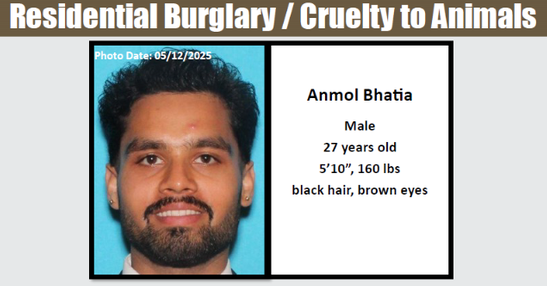 Burglar Arrested After Killing Dog in West Hollywood Apartment Break-In