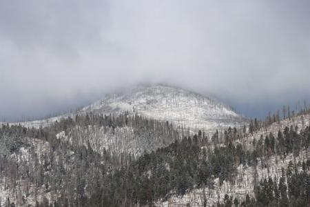 Rain and Mountain Snow Spread Across New Mexico on Nov. 20, 2025
