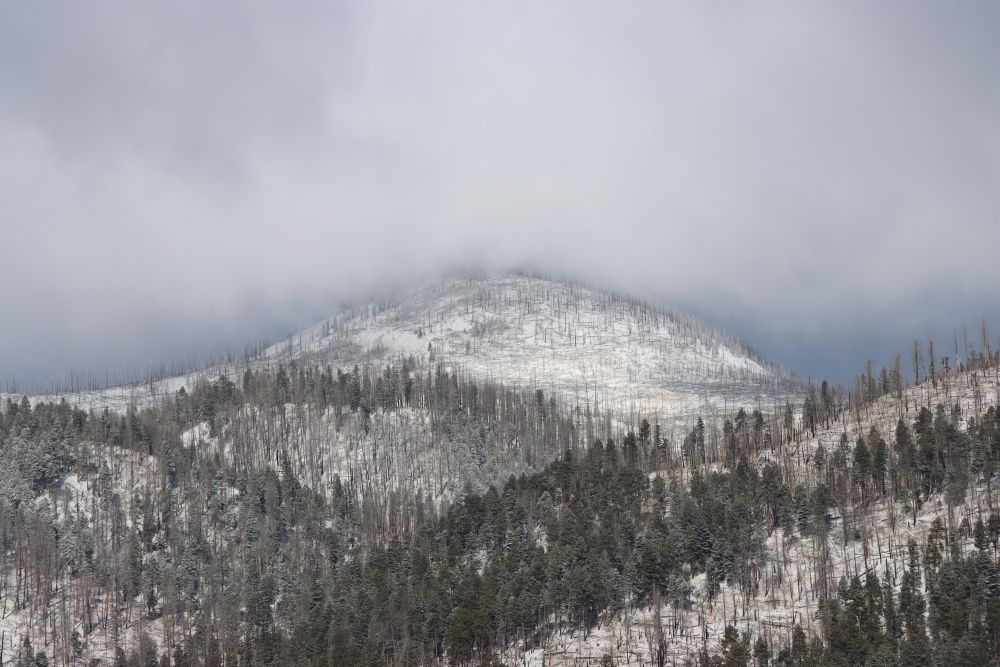 Rain and Mountain Snow Spread Across New Mexico on Nov. 20, 2025