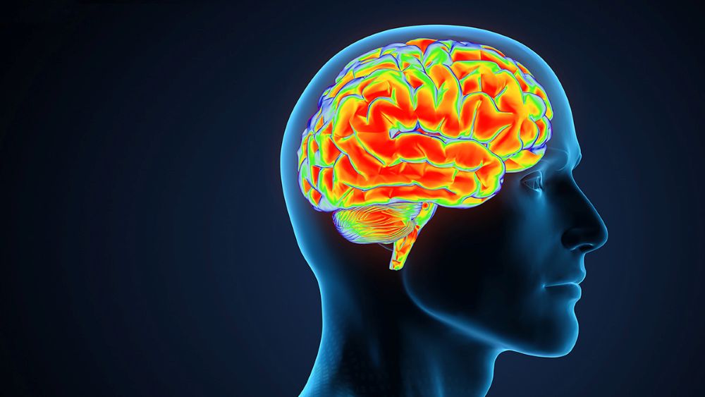 Study Identifies Major Lipid Changes in Alzheimer’s Disease