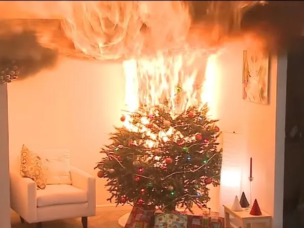 Delaware Woman Urges Holiday Fire Safety After Deadly Tree Fire