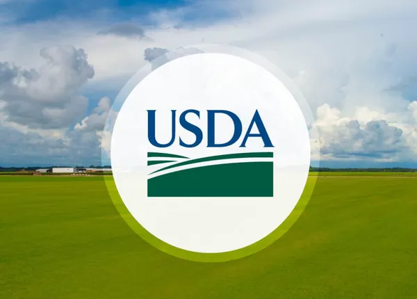 USDA Announces $38.1M in Grants for Hurricane Helene Farm Losses in Tennessee