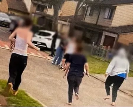 Teenagers sentenced over fatal Warrawong street brawl