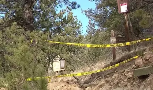 Woman Killed in Mountain Lion Attack on Colorado Trail