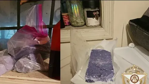 Metro Atlanta Drug Investigation Seizes Over $1 Million in Narcotics