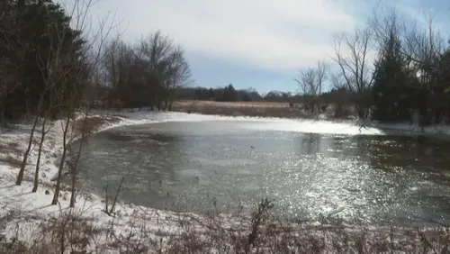 Three Brothers Die After Falling Through Icy Pond Near Bonham, Texas