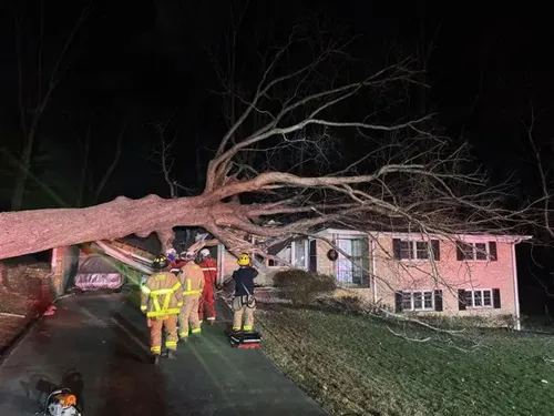 UGA Student Dies After Being Struck by Rolling Truck in Athens