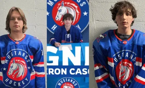 Three Southern Alberta Mustangs Players Killed in Highway 2 Collision Near Stavely