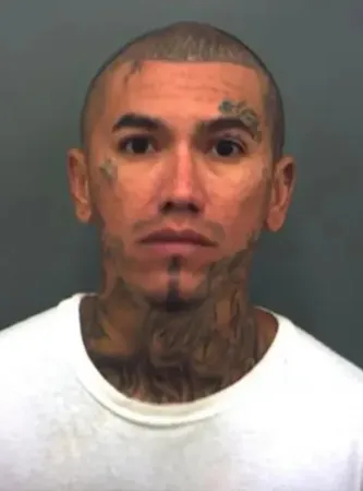 Texas Man Sentenced to 15 Years for Crash That Killed Musician Laura Lynch