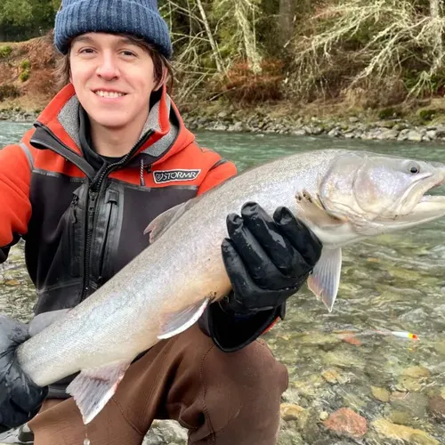 Ketchikan barge incident: Two crew members killed and two injured aboard Waynehoe as Coast Guard investigates