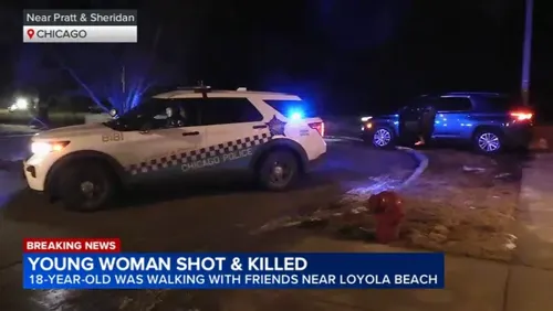 Rogers Park shooting: 18-year-old woman killed on West Pratt Boulevard