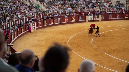 Retired Matador Ricardo Ortiz Fatally Gored in La Malagueta Bullring Incident