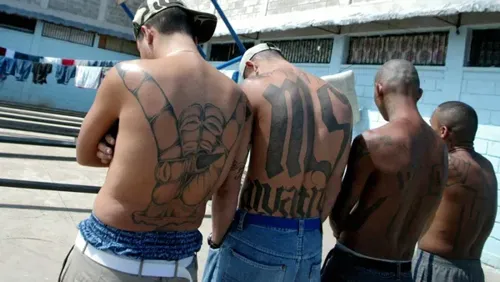 U.S. Seeks Death Penalty for Three MS-13 Members in South Los Angeles Killing