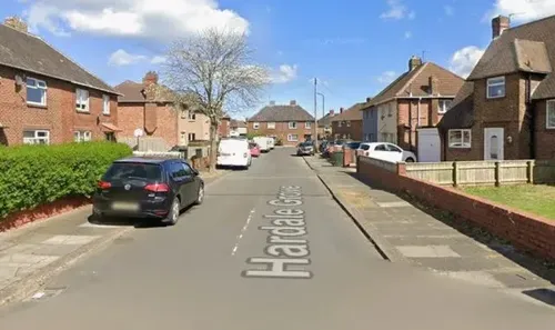 Child Dies in Suspected Dog Attack in Redcar, North Yorkshire