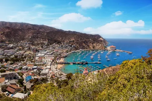 Two Killed in Catalina Island Plane Crash, FAA Confirms Ongoing Investigation