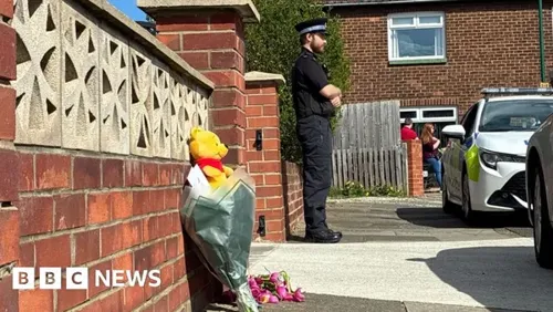 Man Arrested After Baby Dies in Dog Attack in Redcar