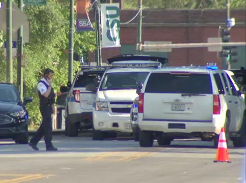 Chicago Police Seek Suspect in Fatal South Chicago Hit-and-Run