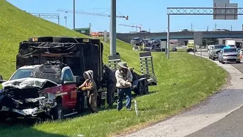 Truck Spill Releases Swarm of Bees on Knoxville Interstate Ramp