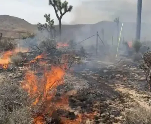 Skyline Fire in Yucca Valley Destroys Four Structures, Injures Firefighter