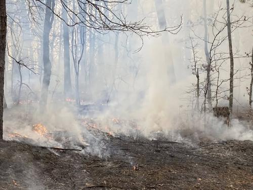 Rain Slows Major Wildfires in Southern Georgia as Crews Battle New Blazes