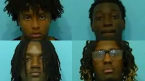 Naperville Police Arrest Nine, Issue Dozens of Citations After Large Youth Gathering Downtown