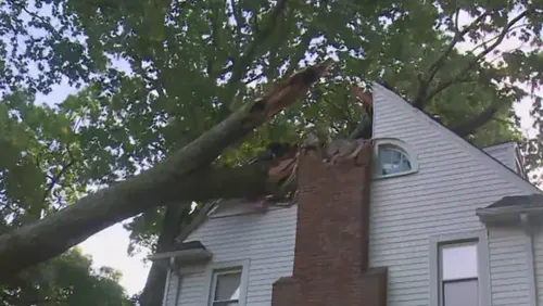 Dearborn Father Rescues 6-Year-Old Daughter After Oak Tree Crashes Into Attic Bedroom