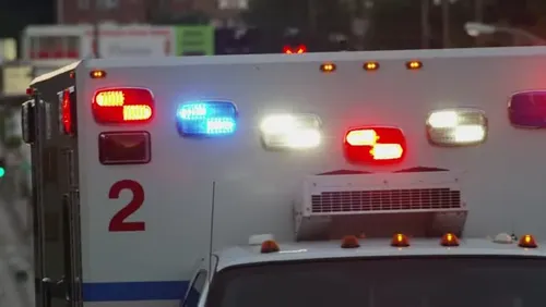 Hector Man Dies After Head-On Collision With Semi-Truck on Highway 212